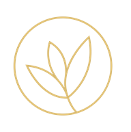 Season’s wellness Spa Body Sculpting | Wood Therapy